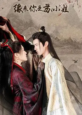 《缘来你是苏小姐》：一场霸总与灰姑娘的浪漫邂逅，甜宠逆袭，爱情的力量势不可挡！