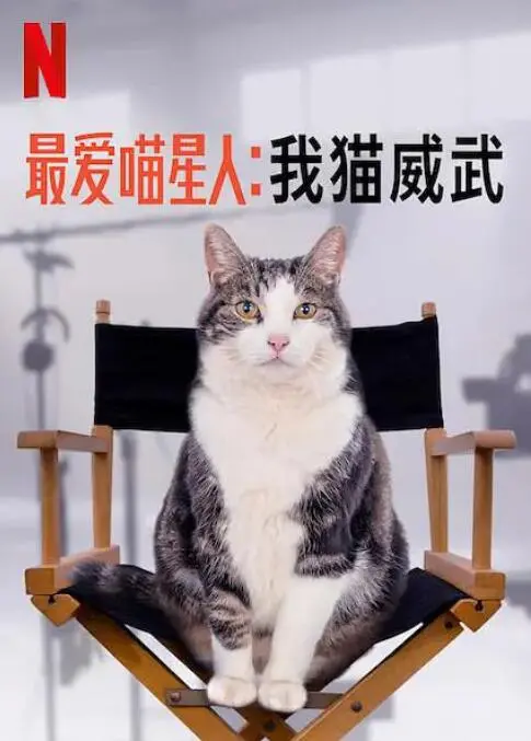最爱喵星人：我猫威武 海报